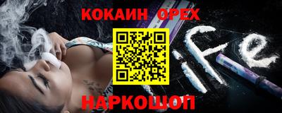 гидра Новозыбков