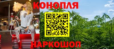 индика Новокубанск