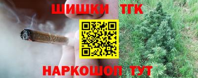 гидра Новозыбков