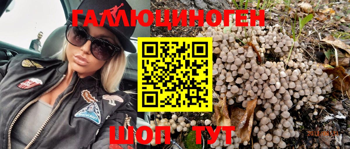 Чапаевск  Галлюциногенные грибы Magic Shrooms  Вход с VPN 